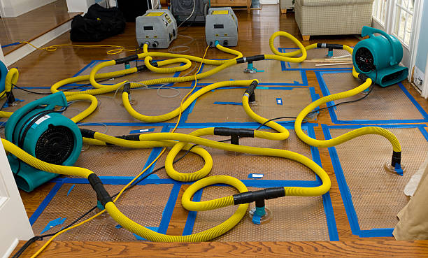 Professional Sewage Cleanup technician working in Johnstown, OH